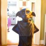 Dobby the house elf may even make an appearance at the event July. 30.  Sophie Bonomi/Kitsap News Group