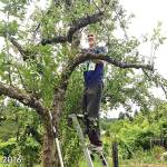 Berry nice: Nature has lots in store outside your door | Kitsap Weekly