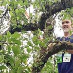 Berry nice: Nature has lots in store outside your door | Kitsap Weekly