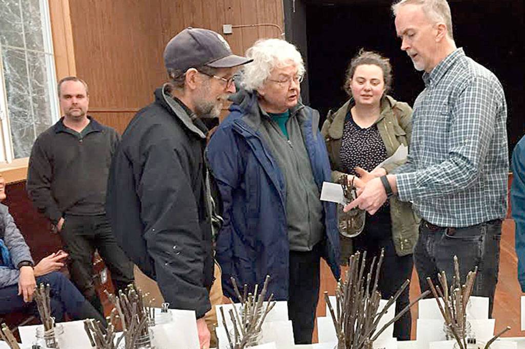 Berry nice: Nature has lots in store outside your door | Kitsap Weekly