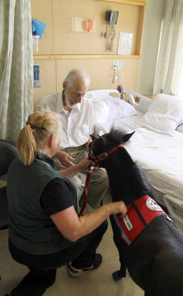 On their first visit of the day, Watland and Diesel visit 90 year-old George Lawton of Bremerton. &ldquo;I think you could get emotional about an animal like that,&rdquo; Lawton said, scratching Diesel&rsquo;s neck.                                Terryl Asla/Kitsap News Group