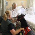 On their first visit of the day, Watland and Diesel visit 90-year-old George Lawton of Bremerton. &ldquo;I think you could get 
emotional about an animal like that,&rdquo; Lawton 
said, scratching Diesel&rsquo;s neck.                                Terryl Asla/Kitsap News Group