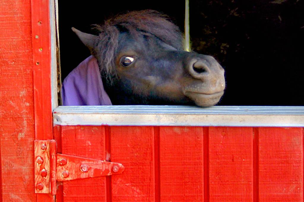 Thursday is ‘Diesel Day’