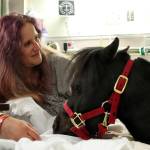 Diesel and Watland visit with Amy Brumbaugh, 42, of Port Orchard. &ldquo;He&rsquo;d get up on the bed with you if you&rsquo;d let him,&rdquo; Watland said.Terryl Asla/Kitsap News Group