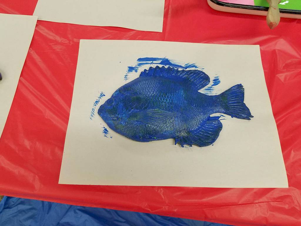 Putting paint or ink on a rubber fish and then stamping its impression on a piece of paper &ldquo;is a traditional way of identifying and measuring fish … We use rubber fish for the demonstrations, of course, because they don&rsquo;t spoil,&rdquo; SEA Discovery Center Volunteer and Program Coordinator Lauren Kemper said.                                Terryl Asla/Kitsap News Group