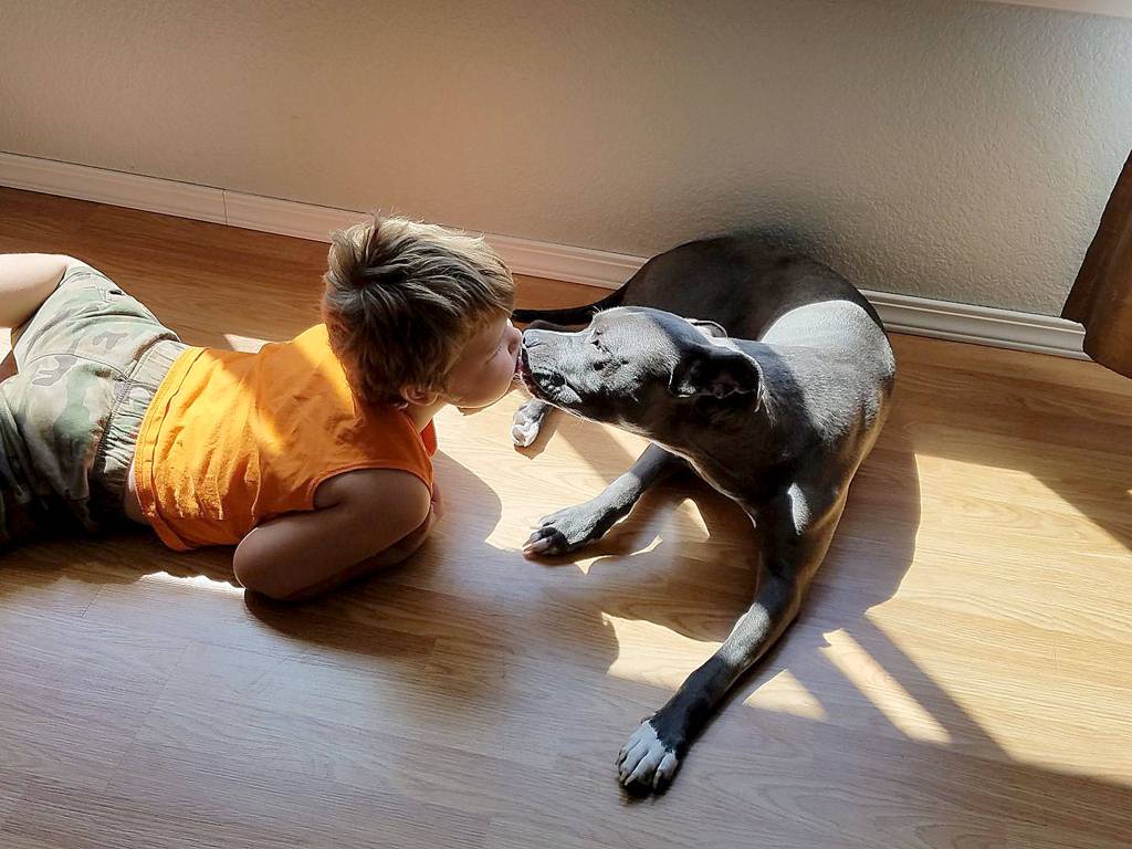 Cinthia Tyler said, &ldquo;My sweet pocket pitty loves everyone. Especially kids.&rdquo;                                Photo courtesy Cinthia Tyler