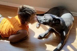 Cinthia Tyler said, &ldquo;My sweet pocket pitty loves everyone. Especially kids.&rdquo;                                Photo courtesy Cinthia Tyler