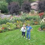 Dahlias: It’s the variety that lures them in