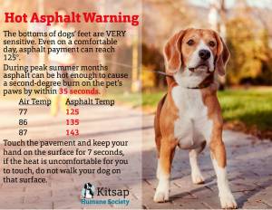 Triple-digit temps possible; here’s what you need to know | Heat Wave