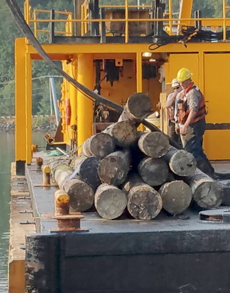 Tall ship, tall crane at Brownsville