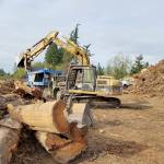 Williams handles the big CAT with the delicacy of an artist.                                Terryl Asla/Kitsap News Group