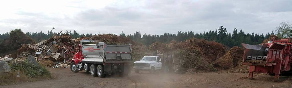 Williams opened the gate for business at 8 a.m. and by 8:20 there already were trucks and trailers lined up, waiting to dump their loads of brush, blackberry vines and land-clearing debris. Terryl Asla/Kitsap News Group