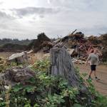The Williams Wood Waste Recycling, LLC, is the only business of its kind in Central Kitsap.                                Terryl Asla/Kitsap News Group
