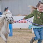 Mini horses are a highlight again this year | Kitsap County Fair & Stampede