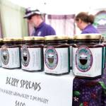 Taste the excitement of the Blackberry Festival | Kitsap Weekly