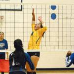Bremerton&rsquo;s Alyssa Ronquillo goes up for the spike against in-town rival Olympic. (Mark Krulish/Kitsap News Group)