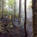 The fire at Illahee Preserve in Bremerton grew to about an acre in size before the Central Kitasp Fire & Rescue and Bremerton Fire Department crews were able to contain and control it.                                Central Kitsap Fire & Rescue/Courtesy