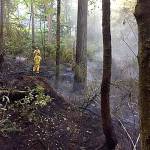 The fire at Illahee Preserve in Bremerton grew to about an acre in size before the Central Kitasp Fire & Rescue and Bremerton Fire Department crews were able to contain and control it.                                Central Kitsap Fire & Rescue/Courtesy