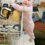 Eleanor, since she was young, has enjoyed climbing on everything.Lately, her climbs have included to the top of the park jungle gym.