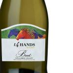 Affordable Thanksgiving wines | Northwest Wine