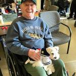 Dominick Mangini sits with Sailor in his lap for two hours every day.                                Courtesy photo