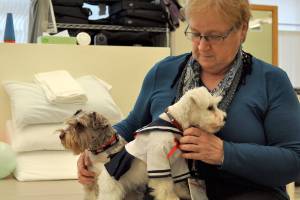 Donna Gaskill with her dogs, Sailor and Oliver, at the Washington Veterans Home in Retsil. The residents held a contest and voted on Sailors name. Both dogs help residents and staff alike destress.                                Michelle Beahm / Kitsap News Group