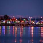 Kingston Cove lights