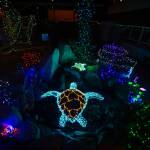 Holiday lights form sea turtles.