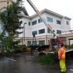 City of Port Orchard employee Bill Thiele and his crew secure this seasons Christmas tree to its customary place next to the Bay Street entrance of City Hall. (Photo: Courtesy of Saints Car Club)