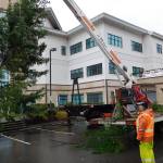 Saints drop off Christmas tree at City Hall