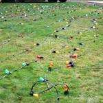 600 lights are prepared to be strung on the Tracyton Community Tree Nov. 27.                                Michelle Beahm / Kitsap News Group