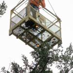 The lights were strung on the giant community tree with the help of Millican Crane Services.                                Michelle Beahm / Kitsap News Group