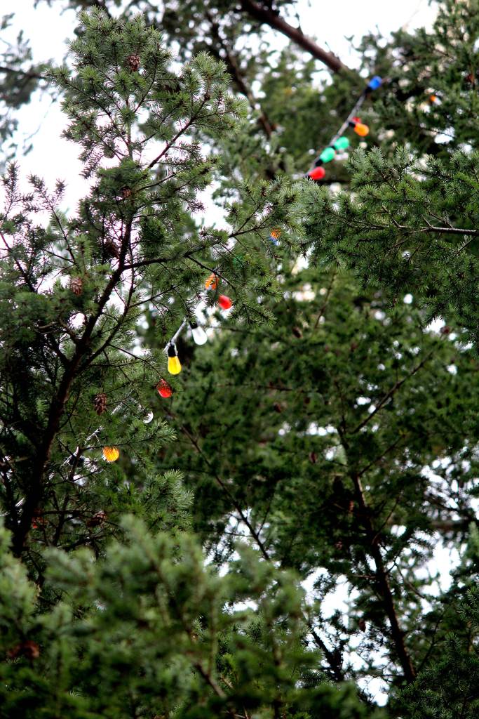 600 lights are prepared to be strung on the Tracyton Community Tree Nov. 27.                                Michelle Beahm / Kitsap News Group