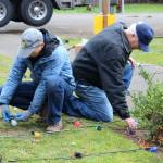 Kurt Tufford, left, and Bob Carter check the lightbulbs before theyre strung on the Tracyton Community Christmas Tree.                                Michelle Beahm / Kitsap News Group