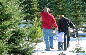 Visits to local tree farms are part of the season.                                Kitsap News Group file photo