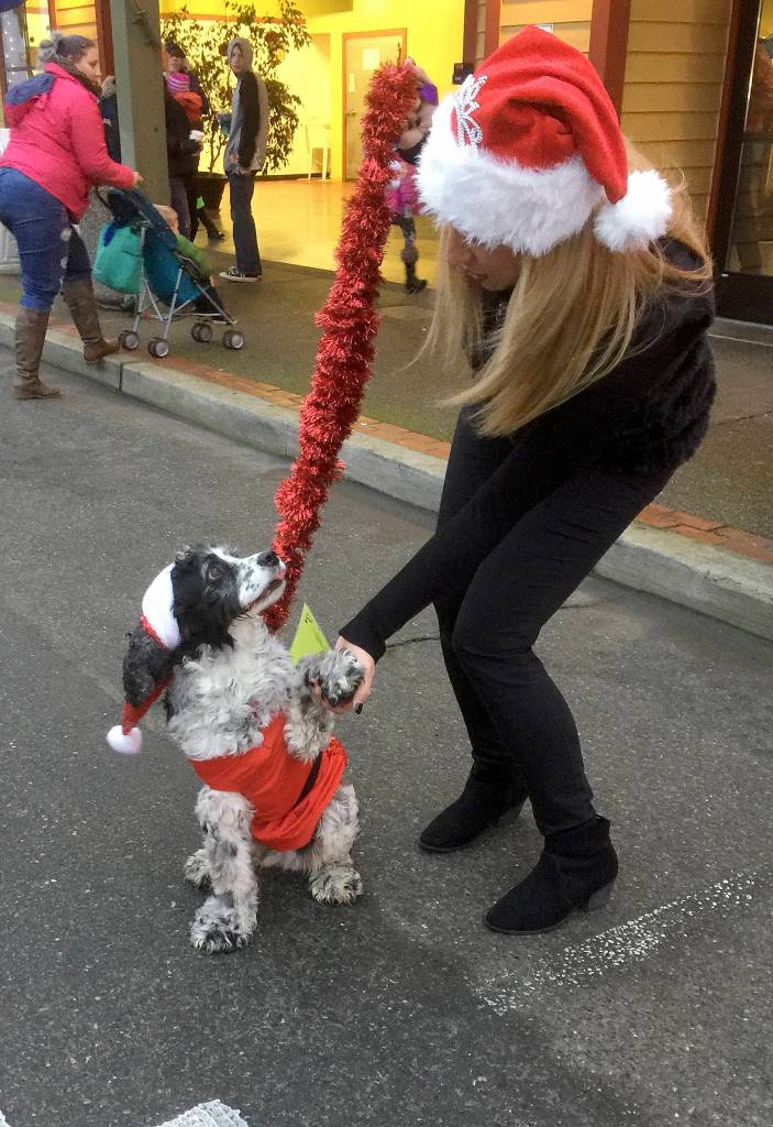 A four-legged contestant of the Pooch and Purrs parade and costume contest looks a bit miffed about having to wear holiday attire last season. Photo: Bob Smith
