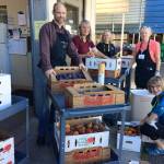 Olmsteds Nursery donated 1,415 pounds of plums, pears and prunes to Fishline this fall.                                North Kitsap Fishline/Courtesy photo