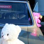 About 150 stuffed animals were donated to Harrison Hospitals ER by the Olympic Vintage Auto Club.                                Michelle Beahm / Kitsap News Group