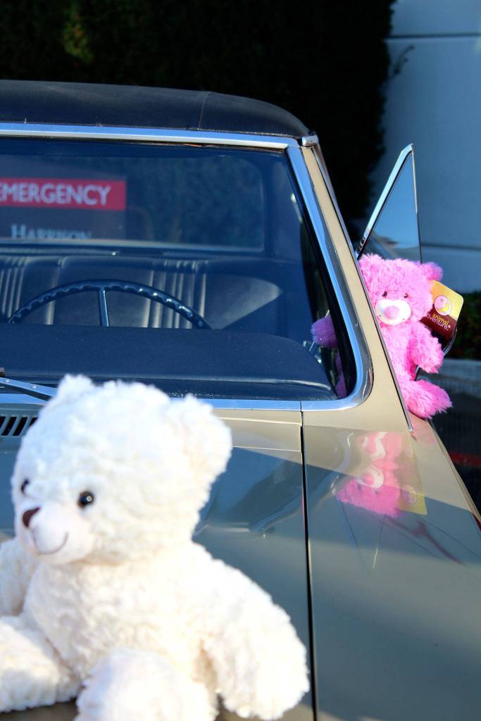 About 150 stuffed animals were donated to Harrison Hospitals ER by the Olympic Vintage Auto Club.                                Michelle Beahm / Kitsap News Group