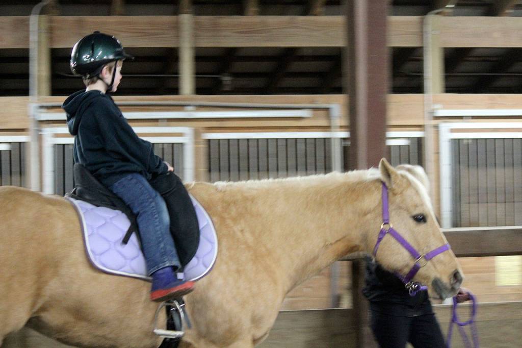 Trainers from The Riding Place led horses ridden by the foster children, some of whom had never seen a horse in person before the Dec. 22 event.                                Michelle Beahm / Kitsap News Group