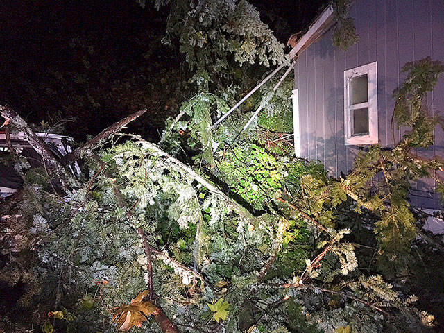 A teenage girl was seriously injured in November when wind gusts toppled a tree, which crashed on top of the girls home. <em>(Courtesy photo | SKFR)</em>