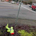 At 7:30 a.m. Jan. 15, crosswalk signage near the crosswalk at the intersection of 8th Avenue and Iverson Street was not visible to motorists because it was on its side and chained to a bolt in the ground. On one side of the street, a holder for pedestrian flags was empty. (Richard Walker/Kitsap News Group)