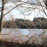 The City of Poulsbo will receive $400,000 toward the purchase of four acres in the Viking Avenue area, south of Liberty Road and between 5th Avenue and a city waterfront trail. (Jacob Moore/Kitsap News Group)