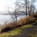 The City of Poulsbo will receive $400,000 toward the purchase of four acres in the Viking Avenue area, south of Liberty Road and between 5th Avenue and a city waterfront trail. (Jacob Moore/Kitsap News Group)