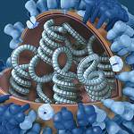 Flu season is hitting us especially hard this year