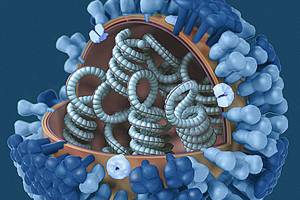 Flu season is hitting us especially hard this year