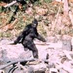 Bigfoot eludes state recognition yet again