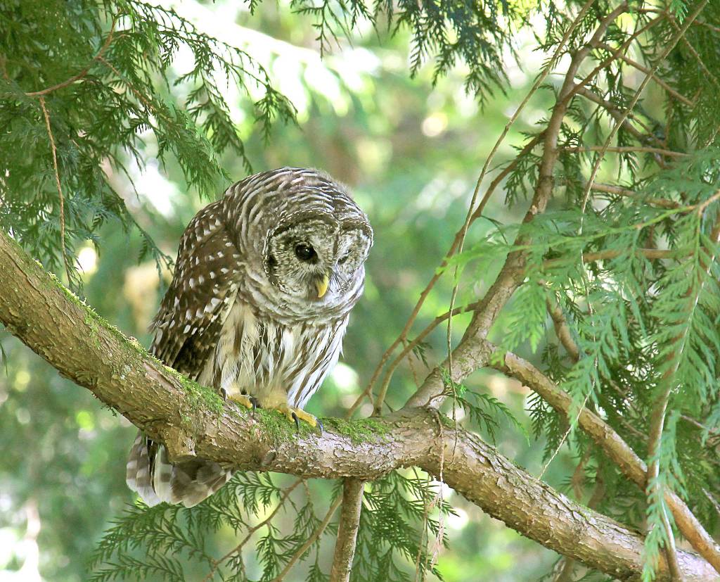 Labyrinth of waterways