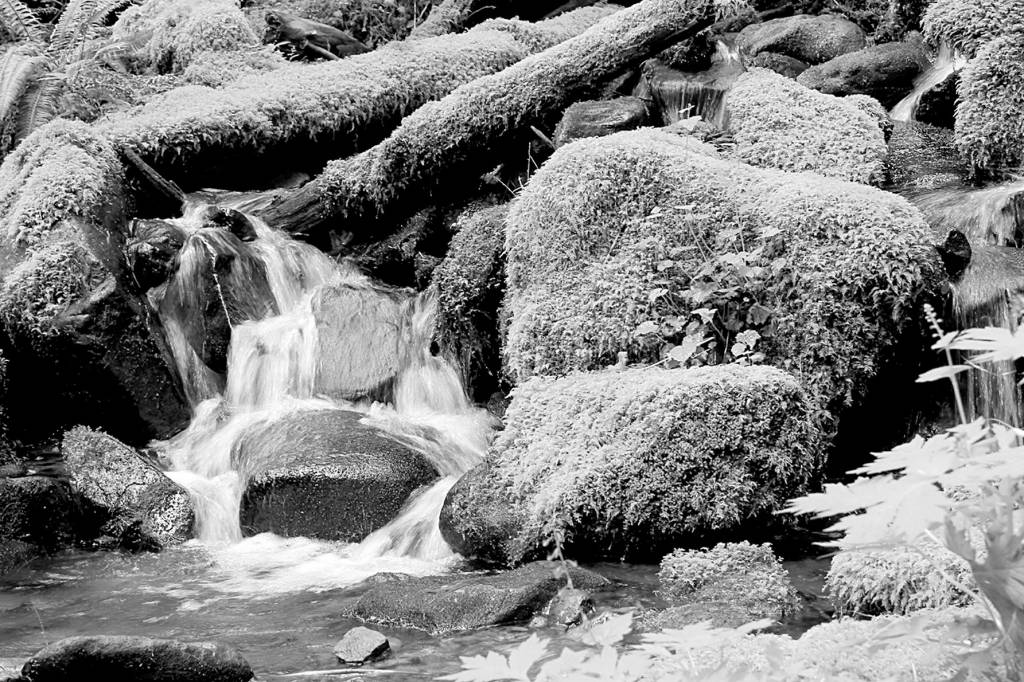 Labyrinth of waterways