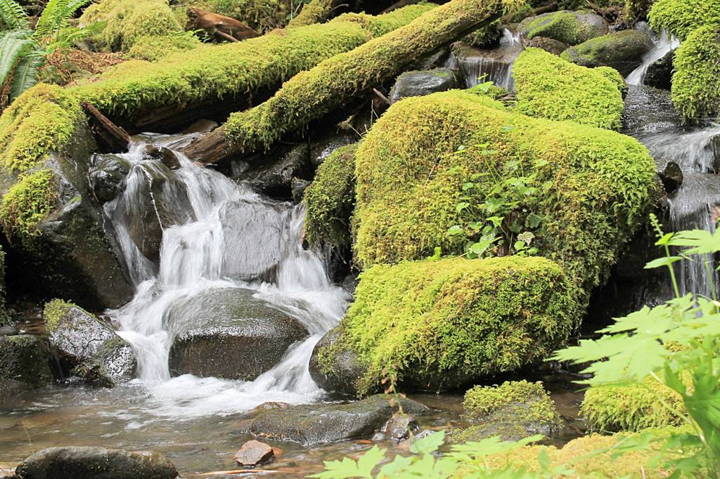 Labyrinth of waterways